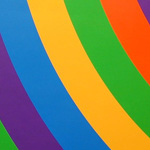 【オフィシャル限定】パラディウムのダッドスニーカー、パラキックスの限定モデル