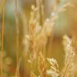 【2021年版】梅雨にオススメの防水シューズをセレクト