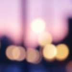 エシカルなキャンバススニーカー、その原材料や背景は？サスティナブルスニーカースタイル Vol.2